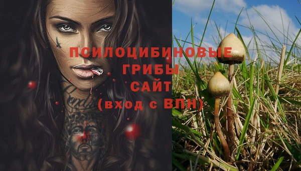 прущий лед Балахна